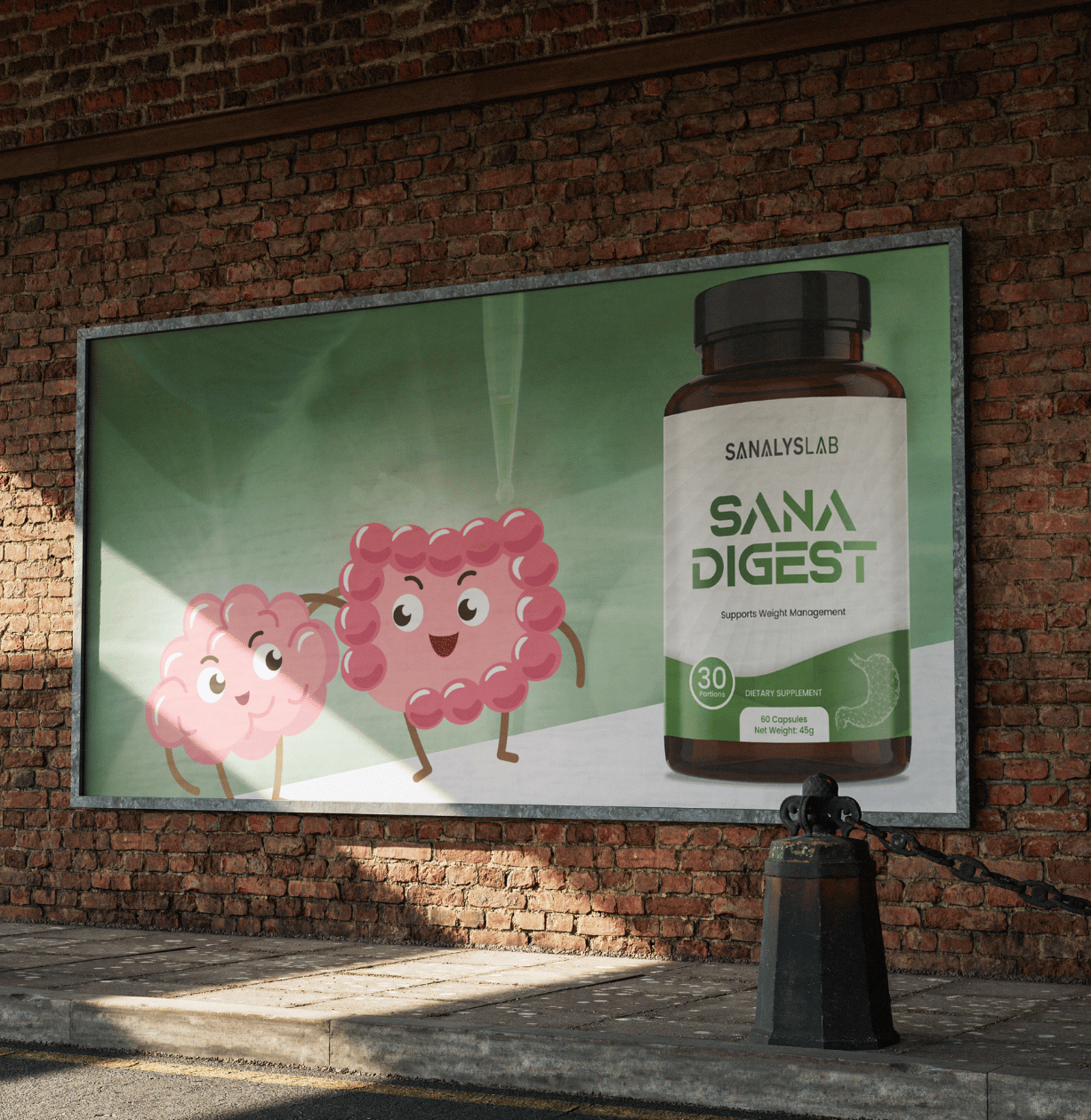 Sana Digest – Bild 6