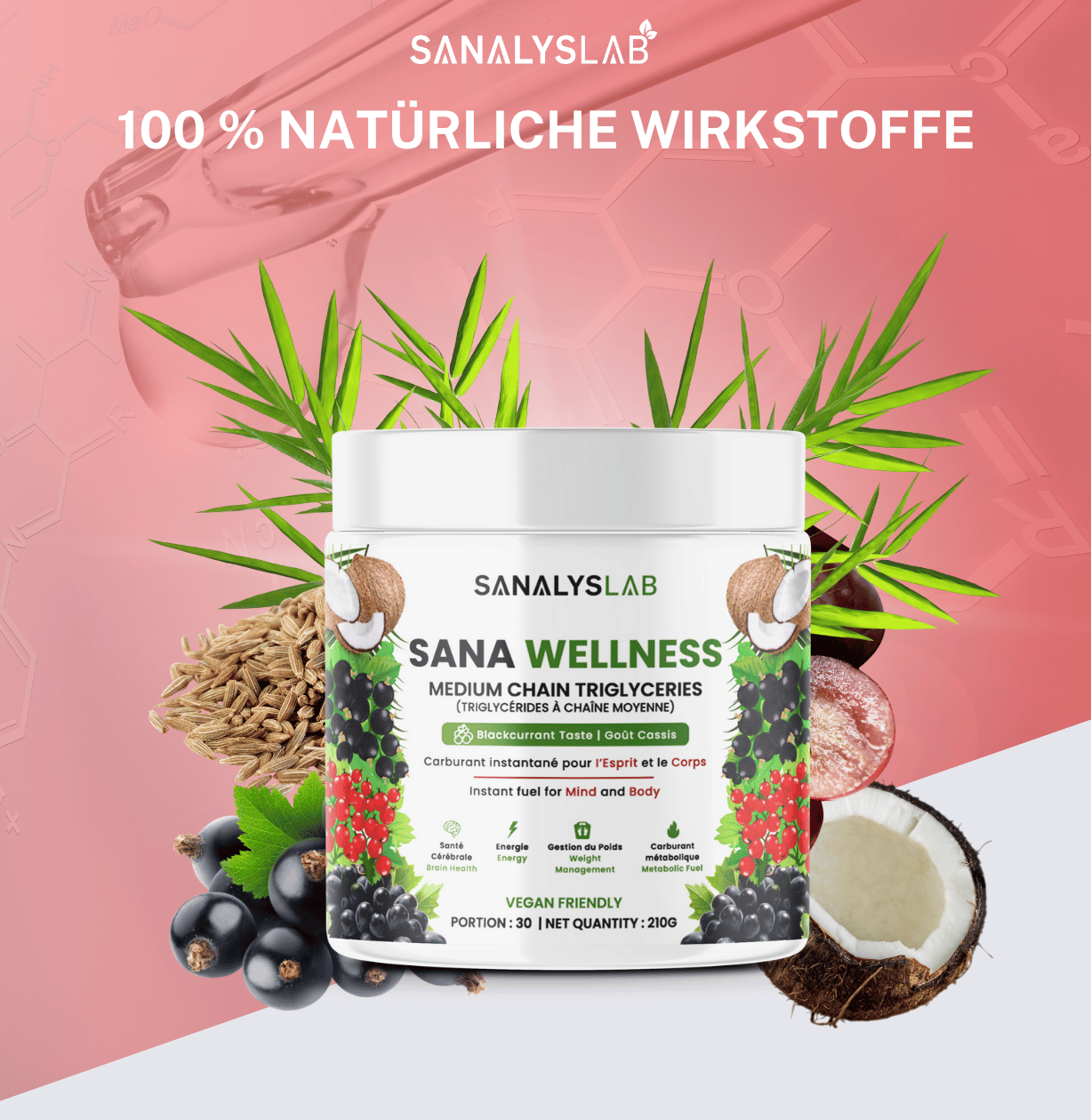 Sana Wellness – Bild 2