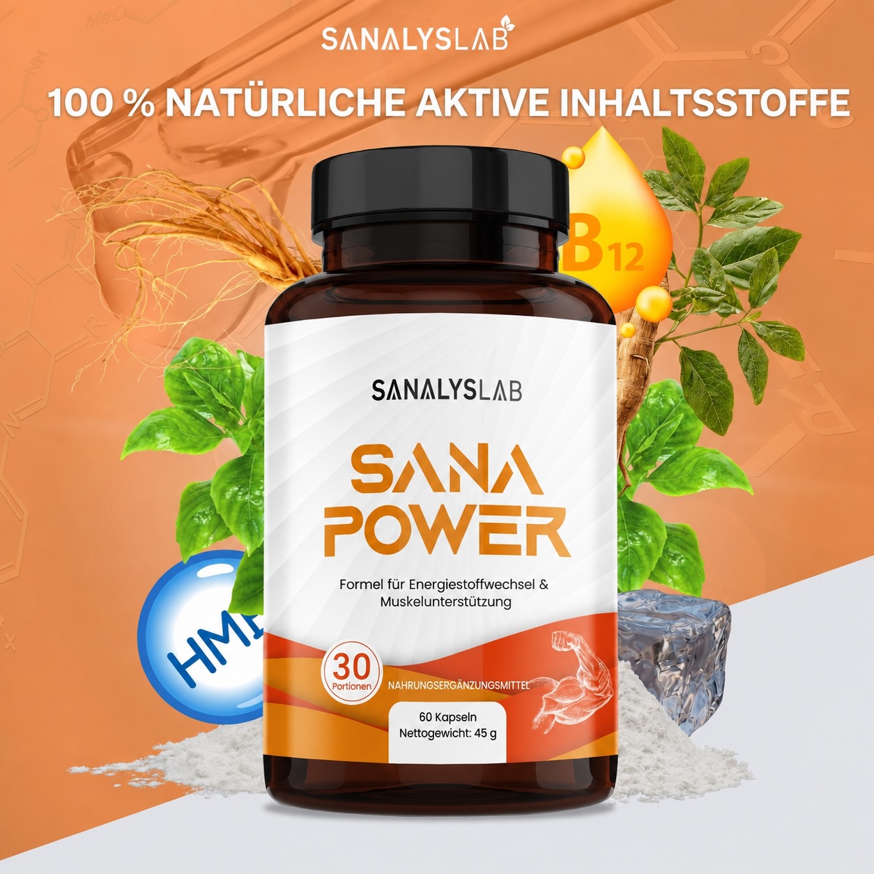 Sana Power – Bild 2